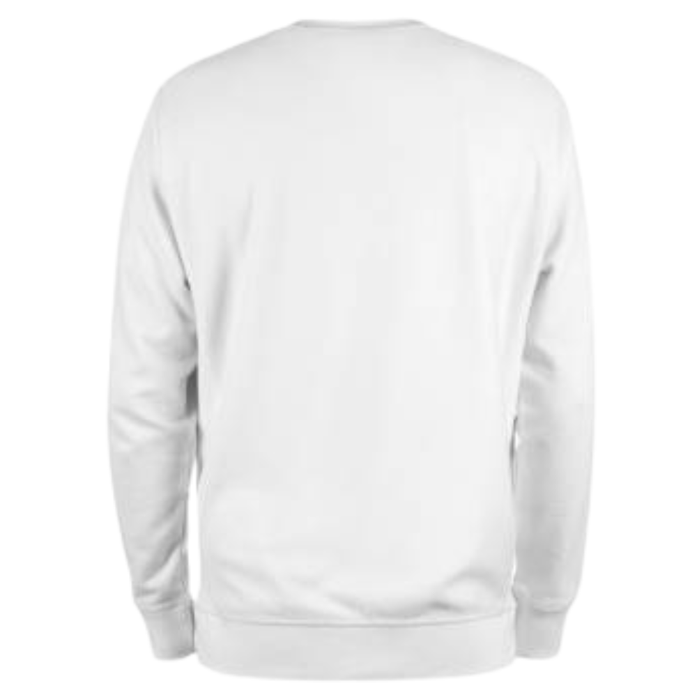 Unisex Adult Plain Crewneck Sweater – 300gsm